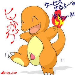 charmander color fire male male_only nintendo pokémon_(species) pokemon pokemon_rgby solo tail tail_fire