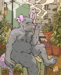 2024 anthro barely_visible_genitalia barely_visible_penis belly buckteeth crate detailed_background ear_piercing edtrash fur genitals grey_body grey_fur hi_res male mammal moobs murid murine navel nipples outside penis piercing pink_nose plant plant_pot potted_plant rat relaxing rodent simple_eyes sitting slightly_chubby smoking solo teeth