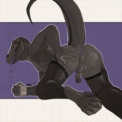 absurd_res anthro anus aroused ass bald balls bedroom_eyes bodily_fluids brown_body claws clothing erection facial_piercing feet forked_tongue furgonomics furry-specific_piercing genital_fluids genitals grey_body hand_on_butt hi_res kneeling komodo_dragon legwear lizard long_tail long_tongue looking_at_viewer lying male mammal monitor_lizard multicolored_body muzzle_piercing narrowed_eyes nose_piercing nude on_front open_mouth penis piercing presenting presenting_anus presenting_hindquarters purple_eyes reptile rhaelrhaelrasputin scales scalie seductive simple_background smile solo solo_male spots stockings stretched_anus tail tongue tongue_out toothless_mouth two_tone_body wren_(rhaelrhaelrasputin)