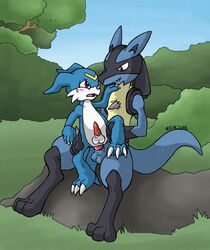 crossover digimon irene lucario male multiple_males nintendo no_humans pokemon pokemon_(species) tagme veemon yaoi