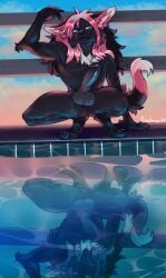 anthro balls canid canine erection fox genitals hi_res male mammal outside pinkpalmingo pinup pool pose public reflection solo squatting_position sunset