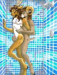 2004 2boys anal anal_penetration anal_sex anthro antlers ayame_emaya cervid cervine cody_(ayame_emaya) deer furry gay gay_sex hand_on_penis horns interspecies male male/male nipples penis ram reach-around reach_around sex sex_from_behind sheep shower shower_sex showering yaoi