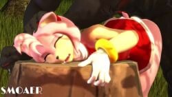 3d amy_rose amy_rose_(warfaremchine) animated anthro anthro_on_anthro anthro_penetrated ass bouncing_butt furry held_down mp4 smoaer sonic_(series) sound tagme video