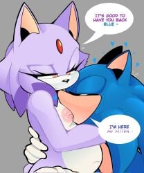 blaze the cat from sega by ramshadow