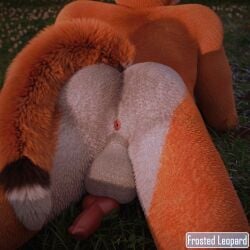 1:1 3d_(artwork) animal_genitalia anthro anus anus_focus ass backsack balls blender_(artwork) blender_cycles_(artwork) brown_body brown_fur butt_focus canid canine canis digital_media_(artwork) fluffy fluffy_balls fluffy_body fluffy_butt fluffy_tail fox fox_tail frostedleopard fur fuzzy fuzzy_balls fuzzy_tail genital_focus genitals grass grass_field knot knotted_penis lying lying_on_ground male mammal muscular muscular_anthro muscular_male nude nude_anthro nude_male on_front on_ground orange_body orange_fur outside penis penis_backwards plant raised_tail realistic sheath solo spread_anus spreading tail watermark white_body white_fur