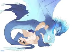 4_toes 5_fingers absurd_res all_fours black_sclera blonde_hair blue_body blue_eyes blue_penis blue_scales blue_tongue blue_wings bodily_fluids cheek_tuft claws dragon duo eyelashes facial_tuft feet female feral fingers fluffy fluffy_tail fur genital_fluids genitals gold_scales gradient_limbs hair hi_res horn icewing_(wof) knot knotted_penis long_tail lying male male/female markings membrane_(anatomy) membranous_wings multi_ear multicolored_body multicolored_fur mythological_creature mythological_scalie mythology narrowed_eyes neck_tuft nude on_back open_mouth open_smile penetration penis pink_ears pink_tongue pink_vulva purple_eyes rhael_(rhaelrhaelrasputin) rhaelrhaelrasputin scale_markings scales scalie scar scutes simple_background size_difference small_ears smile spikes stripes tail tail_coil tail_fluff teeth toes tongue torn_wing tuft vaginal_penetration vulva white_body white_eyelashes wings wings_of_fire yellow_sclera