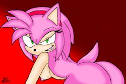 Sonic (Series) Rule 34 Image