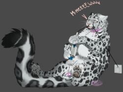 2018 aliena-cordis animal_genitalia anthro balls blush chastity chastity_cage collar feline feral frustration fur grey_fur kieran kieran_(kierish) leopard magic_wand male mammal masturbation paws snow_leopard spots white_fur