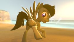 ! 16:9 2018 3d absurd_res animal_genitalia anus ass bckiwi beach cutie_mark dock equine eyelashes fan_character feathered_wings feathers female feral friendship_is_magic hair hi_res hooves horse mammal my_little_pony pegasus pony pussy seaside solo source_filmmaker surprise wings