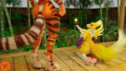 2girls 3d 3d_(artwork) blender breasts digimon female furry kung_fu_panda master_tigress muscular_female nude nude_female pervert99 pussy pussy_juice renamon renamon_(pictisculpts) training training_room yuri