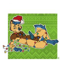 absurd_res animal_genitalia animal_penis anthro balls blue_hair bound brown_body brown_fur canid canine canine_genitalia canine_penis canis chest_fur christmas christmas_clothing christmas_headwear clothing flirting fur genitals hair hat headgear headwear hi_res holidays katxfish knot lying male mammal navel nude on_back paws penis santa_hat smile solo wolf