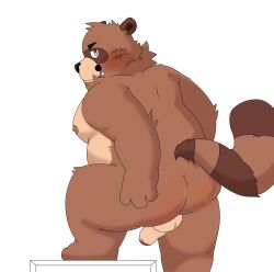 2024 anthro ass balls belly blush brown_body canid canine erection genitals givemepudding3 hi_res kemono male mammal moobs nipples overweight overweight_male penis raccoon_dog simple_background solo tanuki