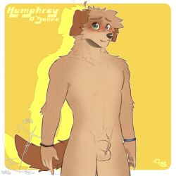 <3_eyes 1:1 absurd_res ahoge animal_genitalia anthro ball_tuft balls bird_dog bracelet brown_body brown_fur bulge canid canine canis cerberussenn claws cocker_spaniel domestic_dog eye_spot floppy_ears fluffy fluffy_hair freckles fully_sheathed fur genitals green_eyes hair heart hi_res humphrey_o'senna_(cerberussenn) hunting_dog jewelry male mammal sheath signature simple_background smile solo spaniel tan_body tan_fur tuft yellow_background