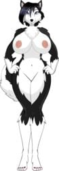 blue_eyes breasts canine crowchild furry high_tail_hall hth_studios jezzel_(hth) large_breasts