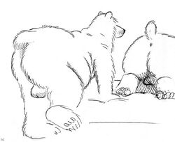 all_fours anthro anus ass ass_up balls bd bear bed belly big_butt black_and_white duo fur imminent_anal imminent_sex love_handles male mammal monochrome nude on_bed overweight pen_(artwork) presenting presenting_hindquarters slightly_chubby text thick_thighs traditional_media_(artwork) yaoi