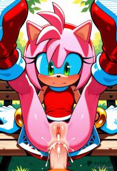 amy rose from sonic (series) by furryguyai