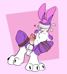 absurd_res accessory anthro balls blindfold bound cheek_tuft cock_ring erection facial_tuft fur genitals hair hi_res humanoid_genitalia humanoid_penis jewelry lagomorph legs_tied leporid male mammal multicolored_body open_mouth open_smile penis penis_accessory penis_jewelry pink_background purple_body purple_fur purple_hair rabbit simple_background smile solo tuft two_tone_body vein veiny_penis white_body white_fur xing1