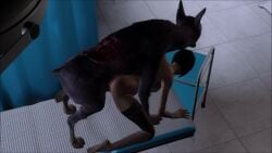 ada_wong animated beastiality canine cavalorn13 doggy_style monster penetration resident_evil skyrim tagme the_elder_scrolls vaginal_penetration video zombie zombie_dog