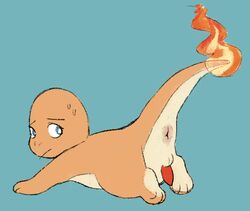 1boy 3_toes all_fours anus ass blue_background blue_eyes charmander feet feral fire looking_back male male_only nintendo nude orange_skin penis pokémon_(species) pokemon pokemon_rgby sapphicespeons scalie sketch soles solo sweat tail testicles video_games