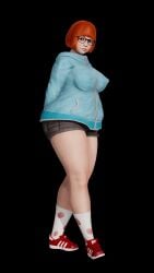 1girls 3d big_breasts breasts chubby female hashmakestrash honey_select jacket nina_(hashmakestrash) tagme