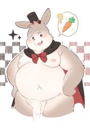 absurd_res anthro balls belly cape clothing erection erection_under_towel genitals hat headgear headwear hi_res kemono lagomorph leporid magician male mammal moobs navel nipples overweight penis porkflo55 rabbit solo top_hat towel