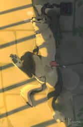 1boy anal anal_fingering anal_masturbation balls canid canine canine_genitalia canine_penis canis feral furry furry_male furry_only kyomiqc link male male_only masturbation penis the_legend_of_zelda twilight_princess wolf wolf_link