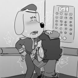 babybus canon_x_oc cum cum_on_face cumshot deputy_collie elevator furry gay gay_blowjob oc_x_canon ocxcanon original_character pavisian_ sheriff_labrador sheriff_labrador_(character)