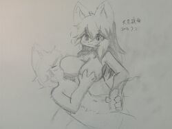 absurd_res anthro ass blue_and_white bodily_fluids breast_grab breast_play breast_sucking breastfeeding breasts canid canine canxue canxue_(character) digital_media_(artwork) female fingers fox fur hair hand_on_breast heterochromia hi_res kemono lactating long_hair looking_at_viewer mammal milk monochrome nude portrait simple_background smile solo sucking tail text tongue