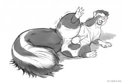 4_toes ass balls beard black_fur blush clothing facial_hair fur gillpanda greyscale hair human lying male mammal monochrome navel one_eye_closed open_mouth paws penis shirt simple_background sketch skunk smile solo thenomeking thick_thighs toes torn_clothing transformation white_background white_fur