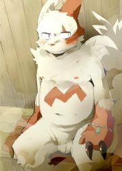 2013 anthro anthro_only balls blush claws embarrassed flaccid fur generation_3_pokemon genitals key konsuke male moobs navel nintendo nipples penis pokemon pokemon_(species) sauna sitting slightly_chubby solo steam tail towel white_body white_fur zangoose