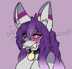 @_@ animal_noises anthro anthro_only barking collar dog_bone dog_ears dog_girl drooling fenrie fenrie_(artist) grey_body grey_fur heterochromia hypno_eyes hypnosis hypnotized_into_pet hypnotized_presentation kaa_eyes long_hair mind_control petplay puppygirl purple_background purple_eyes purple_hair solo solo_female