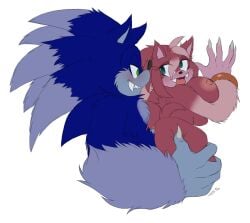 1boy 1girls amy_rose amy_rose_the_werehog anal bluechika female male sega sex sonic_(series) sonic_the_hedgehog sonic_the_hedgehog_(series) sonic_the_werehog sonic_unleashed werehog