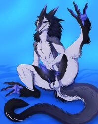 balls bent_leg claws genitals hi_res looking_at_viewer male pawpads penis presenting presenting_penis raised_leg re-re sergal sitting smile solo spread_legs spreading