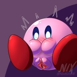 absurd_res ambiguous_gender blush clitoris clothing embarrassed footwear genitals hi_res holding_mouth kirby kirby_(series) looking_down nintendo nixkirb nixkirb18 not_furry pussy shoes solo spreading waddling_head wave weird