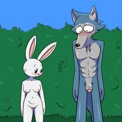 2023 abs anthro athletic athletic_male beastars blush breasts canid canine canis chest_tuft crotch_tuft domestic_rabbit duo dwarf_rabbit embarrassed embarrassed_nude_female embarrassed_nude_male enf enm female flaccid foreskin fur genitals grey_body grey_fur haru_(beastars) hi_res humanoid_genitalia humanoid_penis lagomorph larger_male legoshi_(beastars) leporid male mammal natural_born_kissers nipples nude nude_female nude_male oryctolagus outside partially_retracted_foreskin penis public public_nudity pussy rabbit size_difference smaller_female the_simpsons_reference theenfman toony tuft white_body white_fur wolf