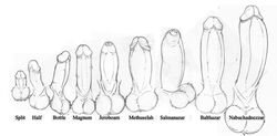 anatomy big_penis boner circumcised comparison disembodied_penis educational english_text erect_penis erection fuzzy_balls hard_on hi_res huge_cock humanoid_penis large_penis line_art male male_only monochrome multiple_penises neenya no_humans penis penis_size_comparison penis_size_difference retracted_foreskin simple_background sketch small_penis text thick_penis uncensored uncut unretracted_foreskin veiny_penis white_background zero_pictured