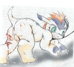 1boy after_sex anus ass bondage claws collar cum cum_inside digimon digitigrade fur furry furry_only gaping gaping_anus gomamon leash male male_only open_mouth penis sketch solo testicles torikick