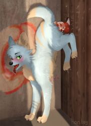 2021 anal anal_sex animal_genitalia animal_penis anthro anthro_on_feral anthro_penetrating anthro_penetrating_feral ass_up big_penis blue_body blue_fur blush bodily_fluids canid canine canine_genitalia canine_penis cheek_tuft claws cum cum_inside digital_media_(artwork) doggy_style duo faceless_character facial_tuft feral feral_penetrated fluffy fox from_behind_position fur furry genital_fluids genitals glory_hole horitoy knot looking_back looking_pleasured male male/male male_penetrated male_penetrating male_penetrating_male mammal markings open_mouth orgasm_face paws penetration penis raised_tail raytokit saliva sex short_tail size_difference smaller_penetrated solo_focus tail tight_fit tongue tongue_out tuft watermark zoophilia