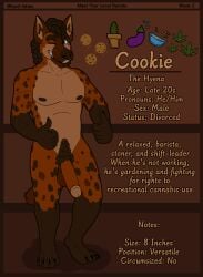 absurd_res anthro aubergine bowl cactus container cookie dreadlocks drugs eggplant erection food foreskin fruit genitals gesture hi_res hyena lewd_latte male mammal marijuana model_sheet one_eye_closed penis plant solo thumbs_up wink