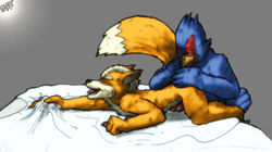 Anthro Rule 34 Image