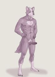 anthro black_eyepatch claws eye_patch eyewear ffog fur genitals grey_body grey_fur hands_on_hips hi_res male navel nintendo nipples nude penis red_eyes shadow solo star_fox wolf_o'donnell