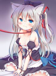 animal_ears apron azur_lane bangs bare_shoulders bed_sheet black_bow black_dress blue_bow blush bow breasts cat_ears cat_hair_ornament closed_mouth collarbone commentary_request cuffs cum cum_on_body cum_on_breasts cum_on_upper_body detached_sleeves dress esureki eyebrows_visible_through_hair facial female frilled_dress frills hair_between_eyes hair_ornament hair_ribbon hairbow hammann_(azur_lane) handcuffs highres leash long_hair looking_at_viewer nipples one_side_up puffy_short_sleeves puffy_sleeves red_collar red_ribbon remodel_(azur_lane) ribbon short_sleeves silver_hair sitting small_breasts solo strapless strapless_dress v-shaped_eyebrows very_long_hair waist_apron wariza white_apron