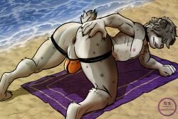 absurd_res all_fours anthro anus australian_shepherd backsack balls beach beach_towel butt canid canine canis clothed clothing domestic_dog genitals giko182 hair hair_over_eyes herding_dog hi_res jockstrap jockstrap_only looking_at_viewer looking_back male mammal nipples pastoral_dog perineum presenting presenting_hindquarters resting_on_elbow sand sheepdog short_tail smile solo spread_butt spreading tail topless towel underwear underwear_only water