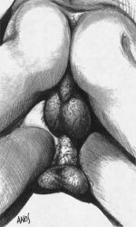 anos_nemos_(david_martin) backsack gay hairy_balls hairy_perineum male male_only monochrome original tagme traditional_media yaoi