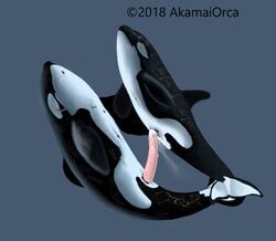 anatomically_correct anatomically_correct_penis animal_genitalia cetacean cum cum_inside cum_leaking dolphin duo ejaculation erection female feral feral_on_feral genital_slit invalid_tag long_penis male male_penetrating mammal mammary_slits marine nude orca penetration penis pussy sex simple_background slit straight swimming tapering_penis whale