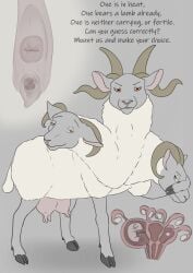 Booru post from rule34.xxx