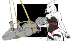 2girls anthro arms_behind_back blush bondage bottomless canine corset drool duo ear_pull female femdom femsub jambalayathepit lezdom multiple_girls nude okra_(jambalayathepit) pitbull pussy pussy_juice rope spank_marks stockings suspension tail_bondage taser thighhighs vibrator yuri