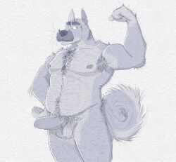 1boy anthro armpit_hair bad_bovine ball_tuft balls ballsack body_fur body_hair canid canine chest_hair erection eyebrows facial_hair flexing flexing_bicep fluffy_tail foreskin genitals grey_body grey_fur hairy_balls humanoid_penis intact leg_hair light_belly long_foreskin looking_at_viewer male male_nipples male_only male_pubic_hair mammal musclegut muscles muscular_male mustache nude_male old old_man penis precum pubes scrotum smooth_penis solo testicles thick_eyebrows uncut unretracted_foreskin whiskers