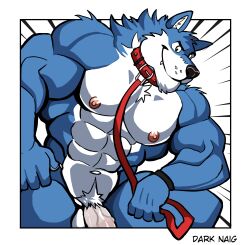 abs absurd_res anthro anthro_only areola biped blue_body blue_fur canid canine canis collar countershade_face countershade_fur countershade_torso countershading darknaigart fingers fur genitals hi_res leash leashed_collar male male_only mammal muscular muscular_anthro muscular_male nipples pecs penis solo vein veiny_penis wolf