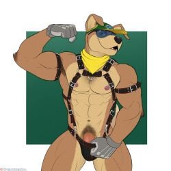 abs anthro armband bandana bill_grey bulge canid canine canis clothing clothing_pull domestic_dog erection eyewear flexing furgonomics genitals gloves handwear harness hat headgear headwear hi_res humanoid_genitalia humanoid_penis kerchief male male_focus mammal mostly_nude muscular muscular_male nintendo nipples pecs penis penis_base smile solo spelunker_sal star_fox sunglasses thong thong_pull underwear underwear_pull